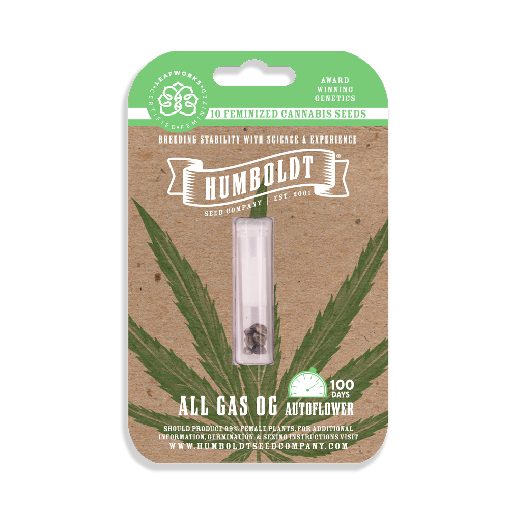 All Gas OG Autoflower Seeds 3 Pack