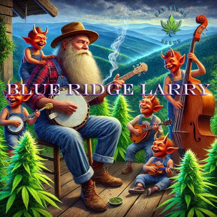 Blue Ridge Larry 5 Pack