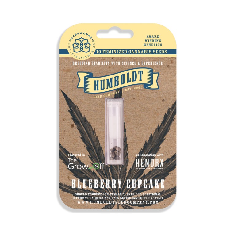 Blueberry Cupcake Photo 3pk