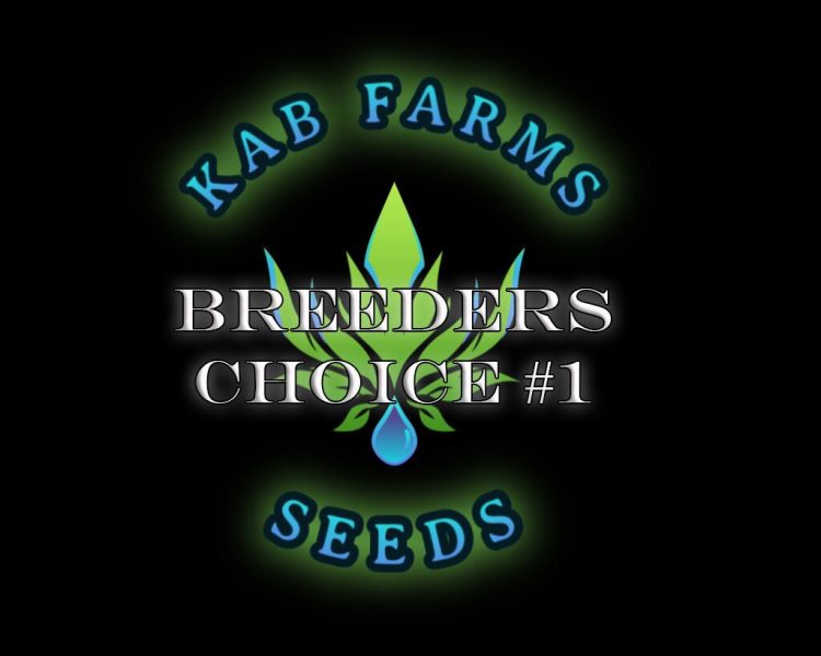 Breeders Choice #1