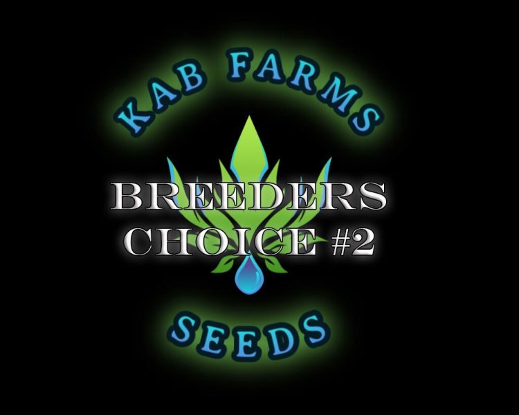 Breeders Choice #2