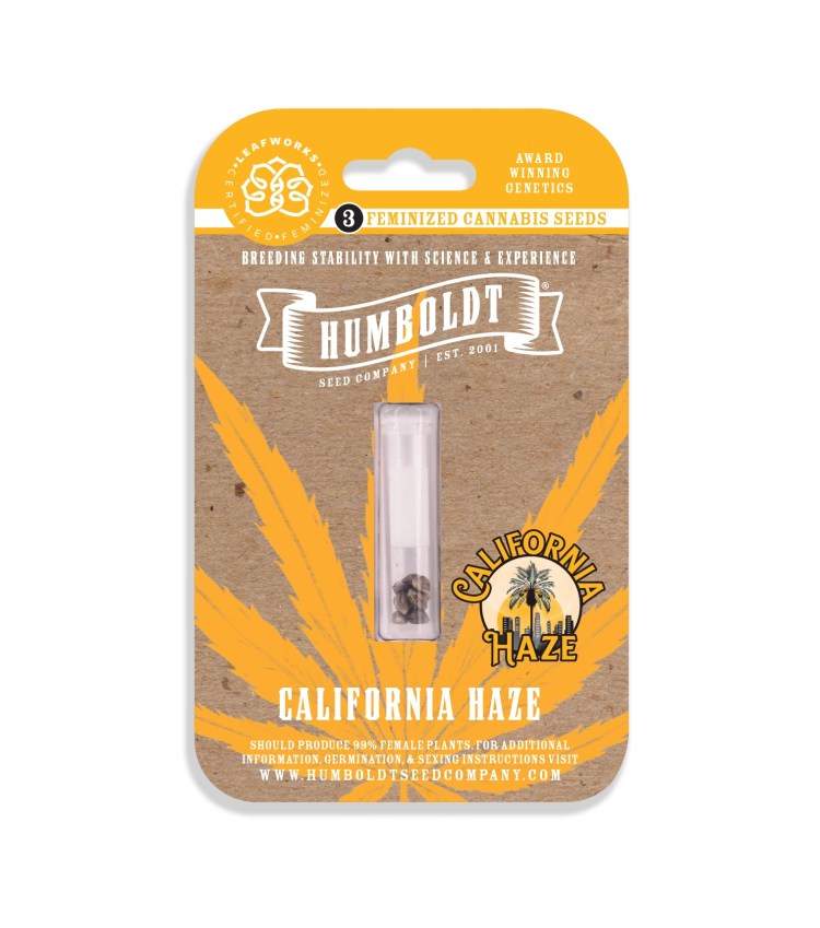 California Haze Photo 3pk