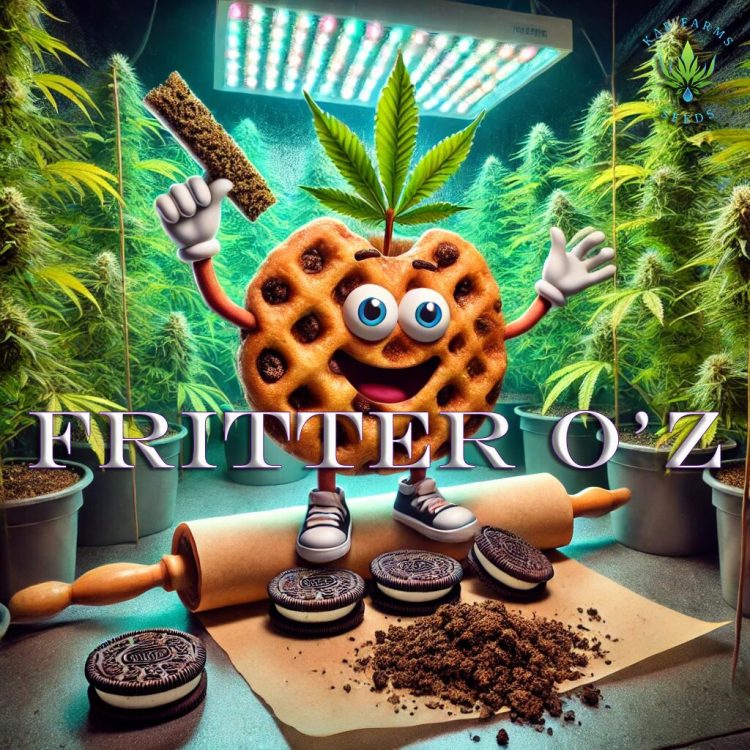 Fritter O'z 5 Pack