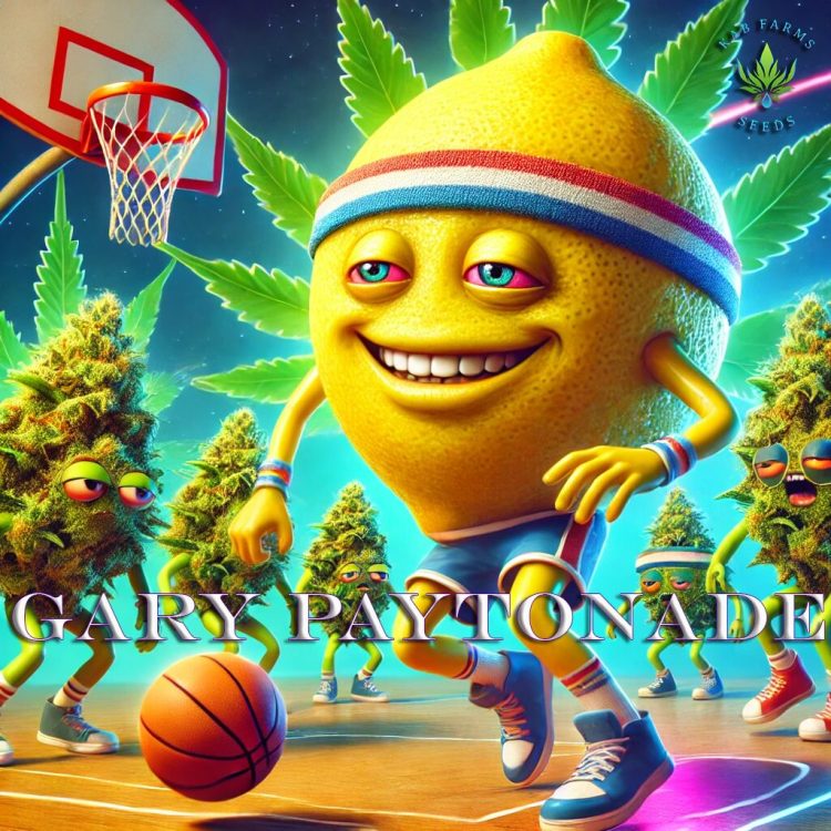 Gary Paytonade 5 Pack