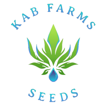 KAB-logoclr-e1709613600307 (1)