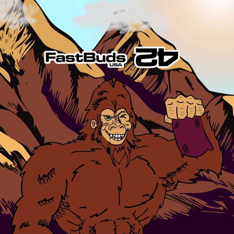 Orange President Auto