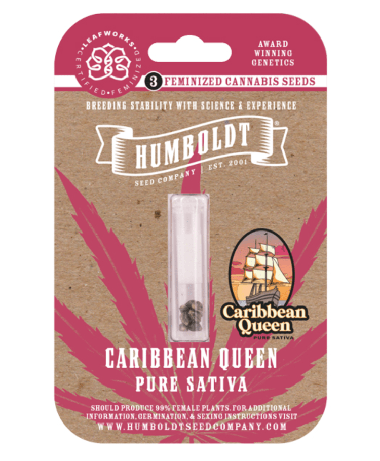 Caribbean Queen Photo 3pk