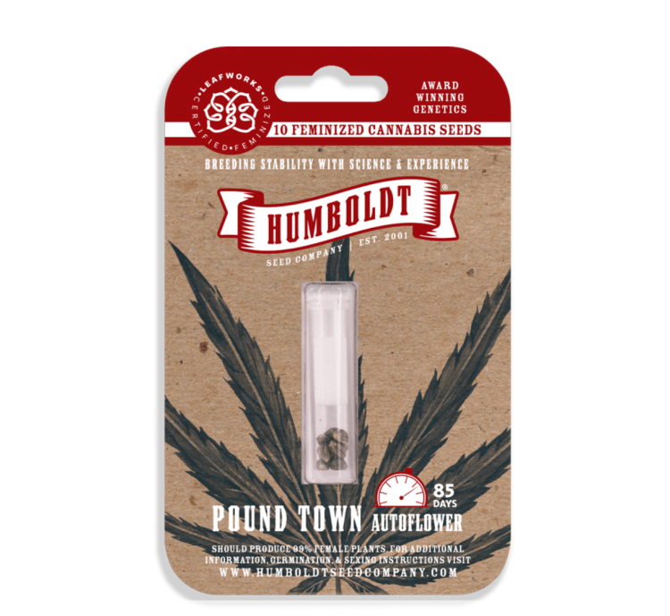 Mango Sherbert Auto 3 Pack