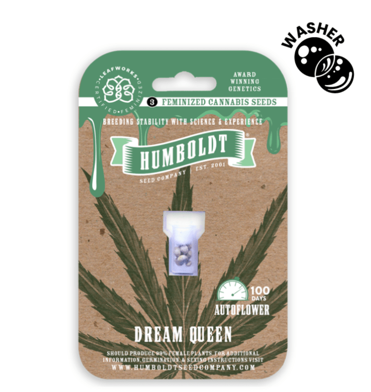 Dream Queen Auto 3 Pack