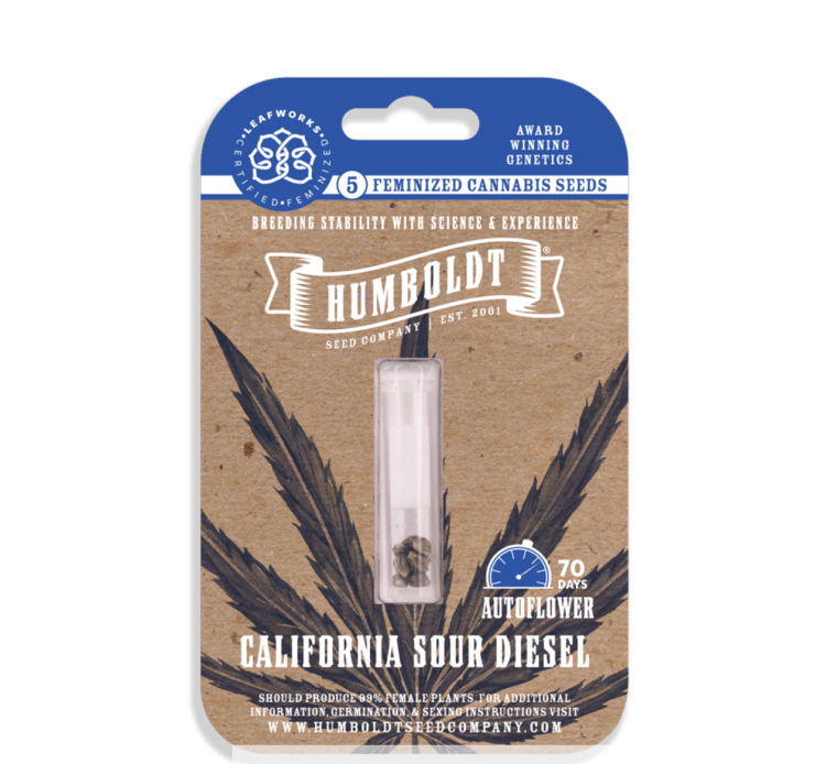 California Sour Diesel Auto 3 Pack