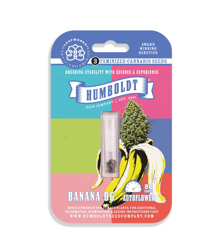 Banana OG Auto 3 Pack