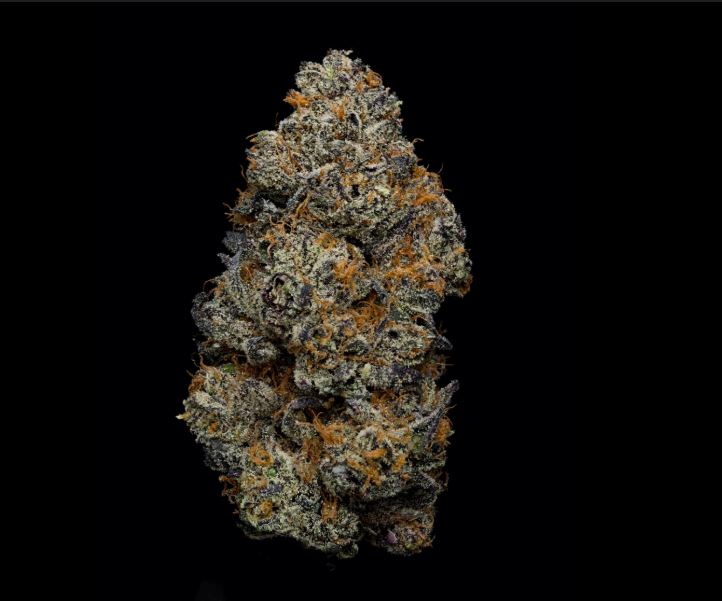 White Truffle Photo 3 pack